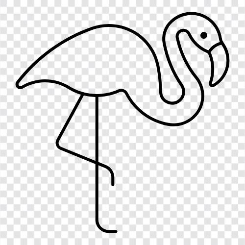 pembe flamingo, pembe ve beyaz flamingo, flamingo, kuş ikon svg