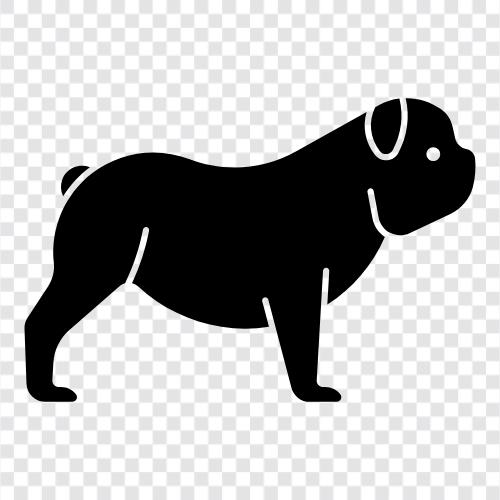 Pitbull, Amerikan Bulldog, Staffordshire Bulldog, Cane Cor ikon svg