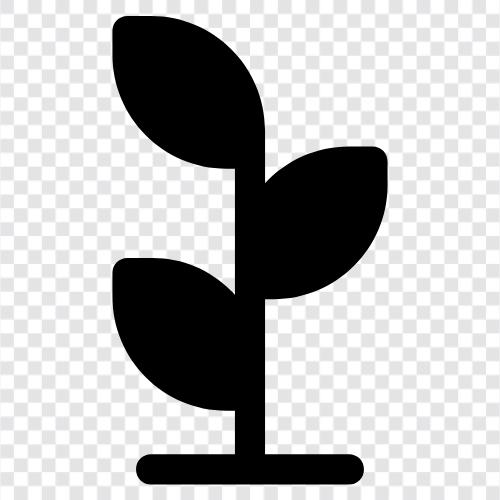 plant, herbs, cannabis, hydroponics icon svg