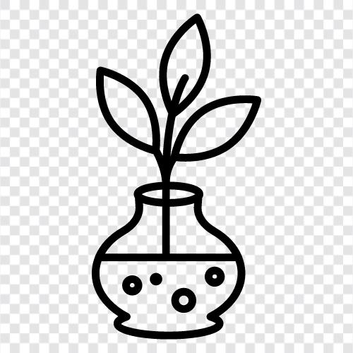 plant icon svg