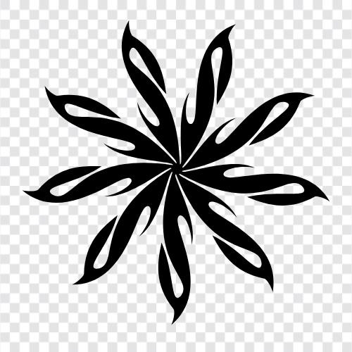 Plant, Bloom, Bloomers, Bloomin icon svg