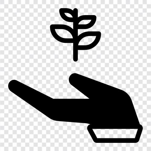 Plant icon svg