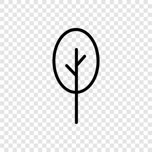 Plant, Fruits, Flowers, Leaves icon svg