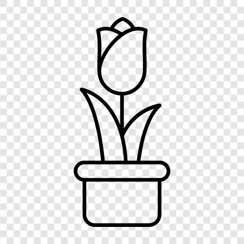 Pflanzer, Behälter, Garten, Containergarten symbol