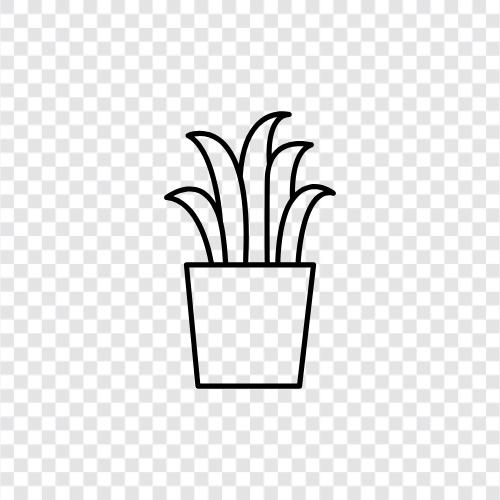 planter, saksı, bahçe, bitkiler ikon svg