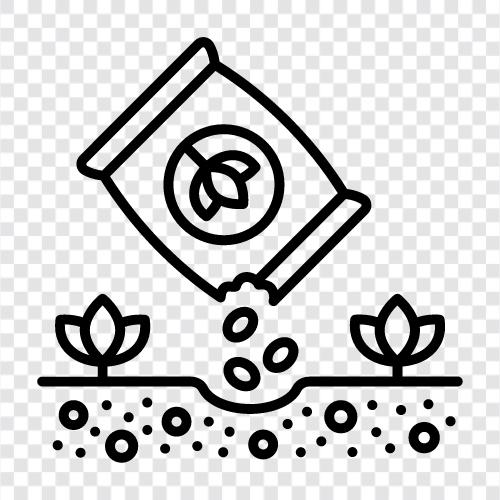 planting, germination, seed, seedling icon svg