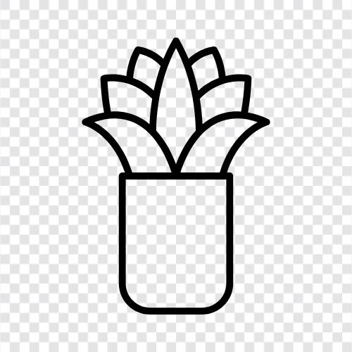 plants, houseplants, cactus, succulent garden icon svg