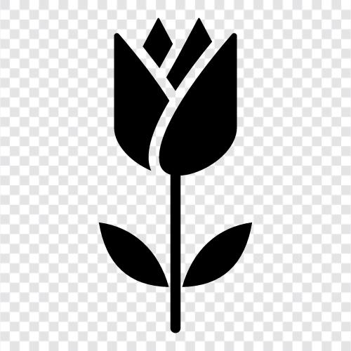 plants, gardening, gardening tips, gardening tools icon svg