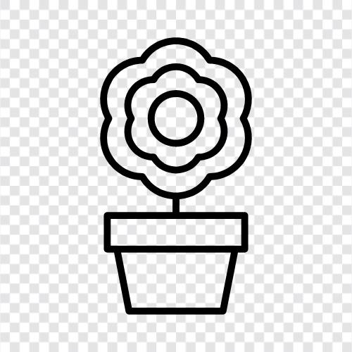 Pflanzen, Gartenarbeit, Gartentipps, Rose symbol