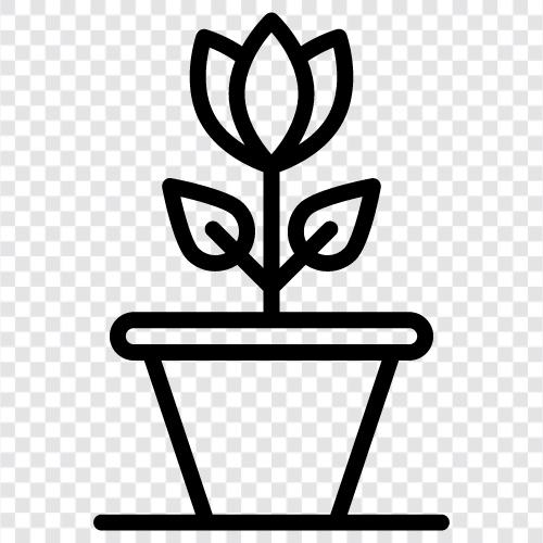 plants for sale, garden plants, succulents, cactus icon svg