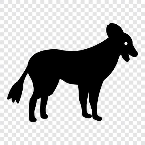 işaretçi, av köpeği, altın retriever, Labrador retriever ikon svg