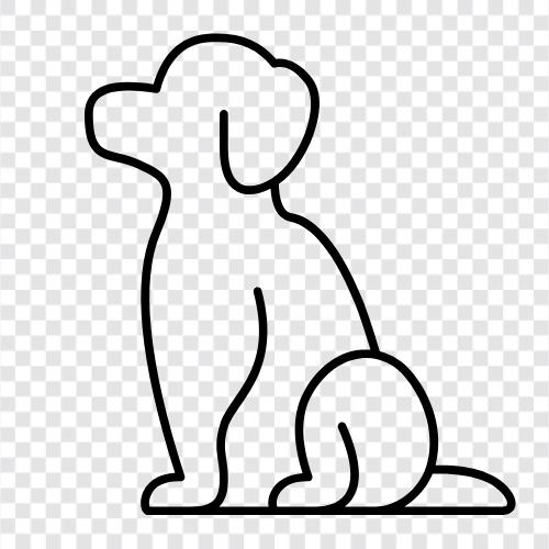 Pooch, Corgi, Beagle, Labrador icon svg