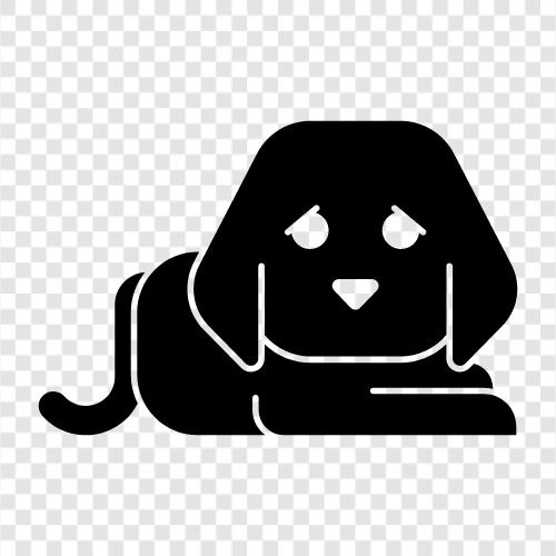 Pooch, Cocker spaniel, Beagle, Boston terrier icon svg