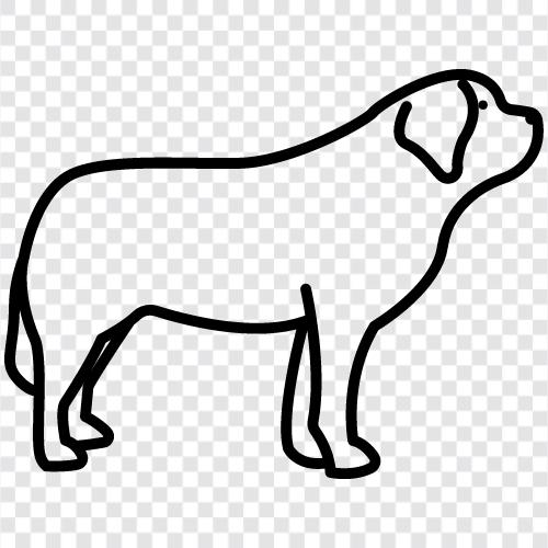 Pooch, Mutt, Beagle, Boston Terrier ikon svg