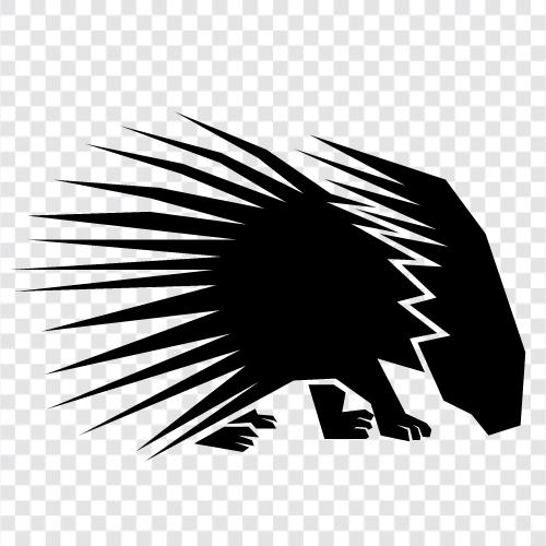 Porcupine, hayvanlar, vahşi hayat, kireçler ikon svg