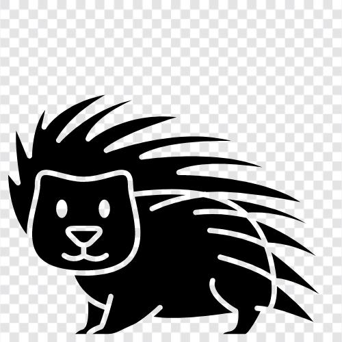 porcupine quill, porcupine leather, porcupine car, Porcupine icon svg