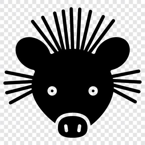 Porcupine quills, Porcupine defense, Porcupine armor, Porcupine icon svg