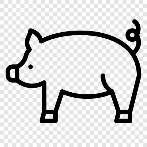 Schwein, Speck, Schinken, Wurst symbol