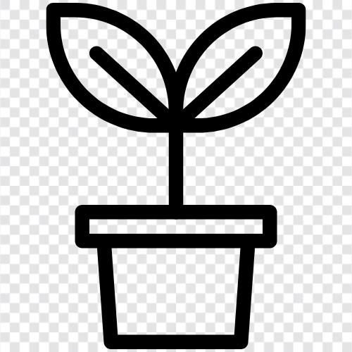 pot, planter, container, grow Значок svg