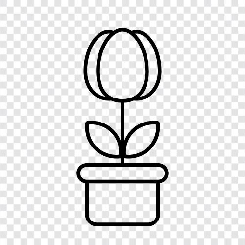Pot, Gardening, How To, Tips icon svg