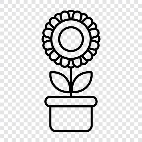 Topf, Blume, Gartenarbeit, Behälter symbol