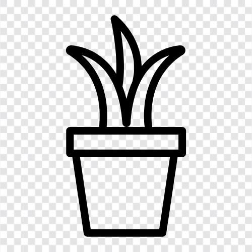 pot, plant, gardening, grow icon svg