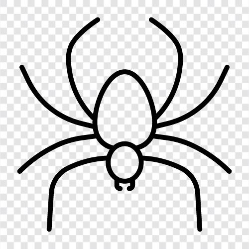 predator, arachnid, eightlegged, black and white icon svg