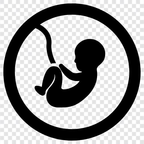 schwangerschaft, baby, ungeboren, entbindung symbol