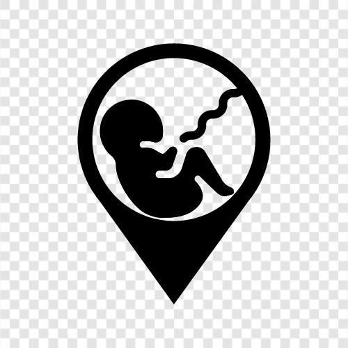 pregnant, childbirth, pregnancy, pregnant women icon svg