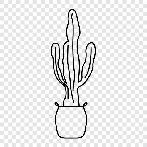 prickly, desert, habitat, spines icon svg