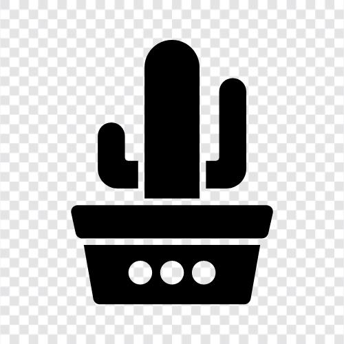 stachelig, Pflanzen, saftig, Kaktus symbol