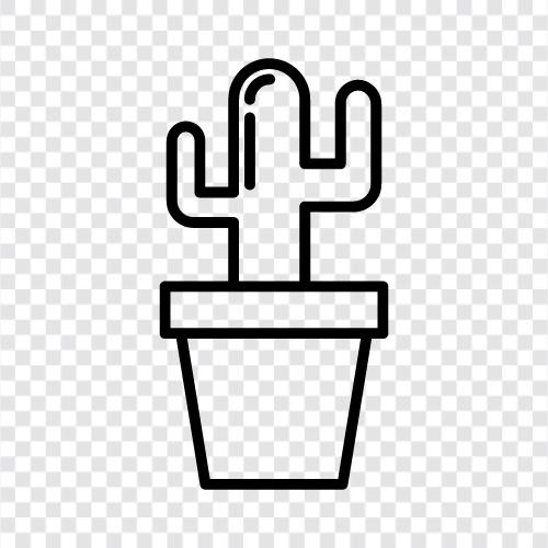 prickly, spiny, thorny, desert ikon svg