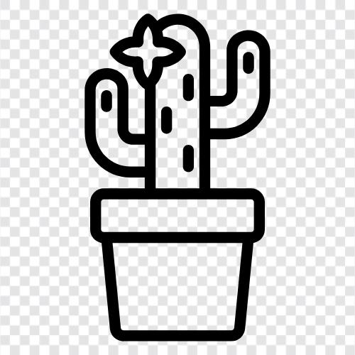 prickly, desert, Palo Verde, prickly armut ikon svg