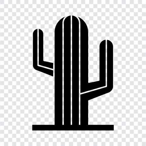 prickly pear, opuntia, desert, Central America icon svg