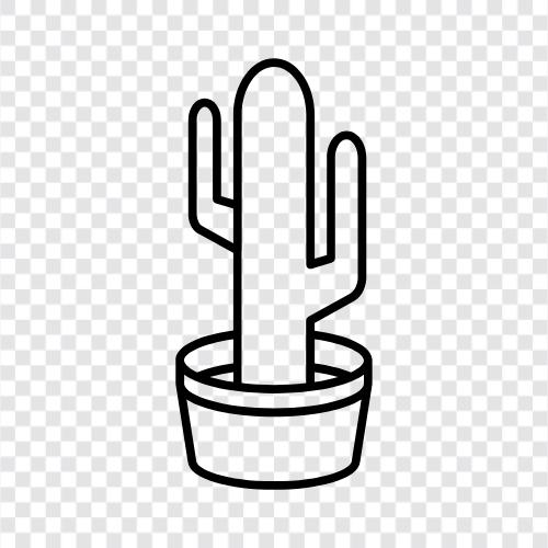 prickly pear, desert, spiny, thorns icon svg