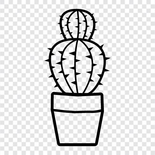 prickly pear, cholla cactus, barrel cactus, sagu icon svg