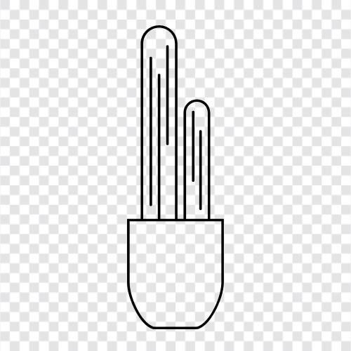 prickly pear, plants, succulents, Cactus icon svg