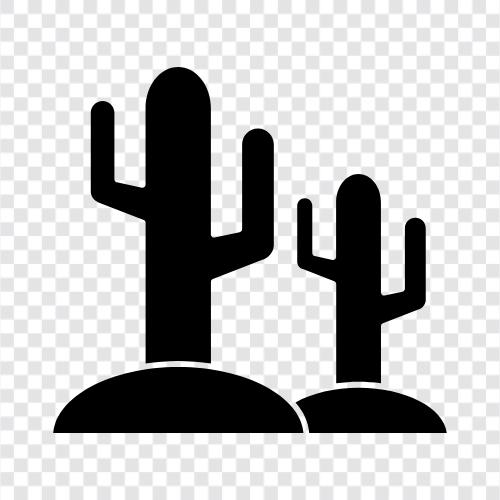 prickly pear, desert plant, succulent, cactus plant icon svg