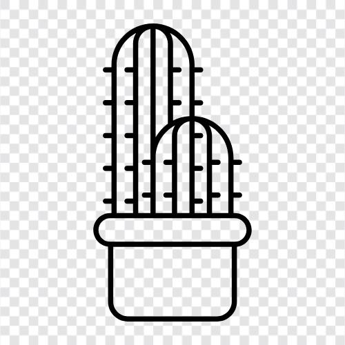 prickly pear, cholla, cactus fruit, cactus flowers icon svg