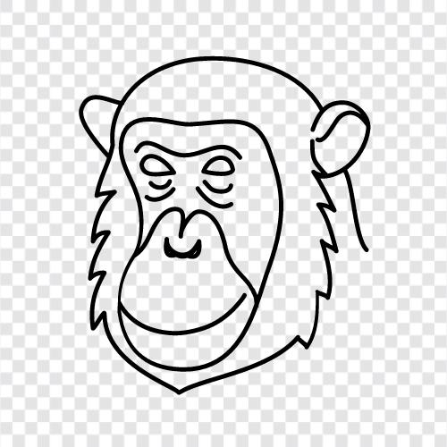 primat, ape, simian, baboon ikon svg