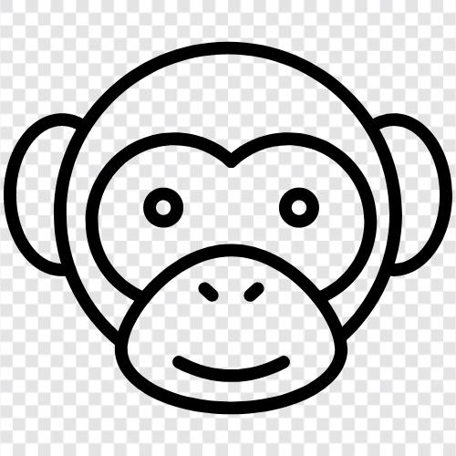 primates, baboons, macaques, chimpanzees icon svg