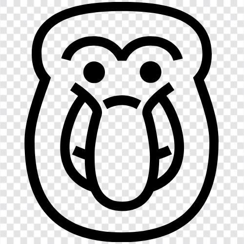 proboscis, face, human, animal icon svg