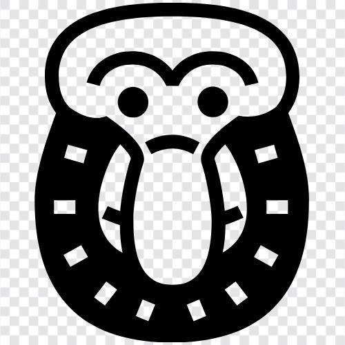 proboscis, face, human, animal icon svg