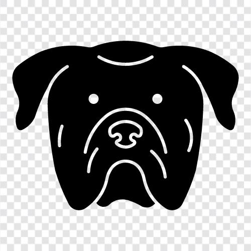 Pug ikon svg