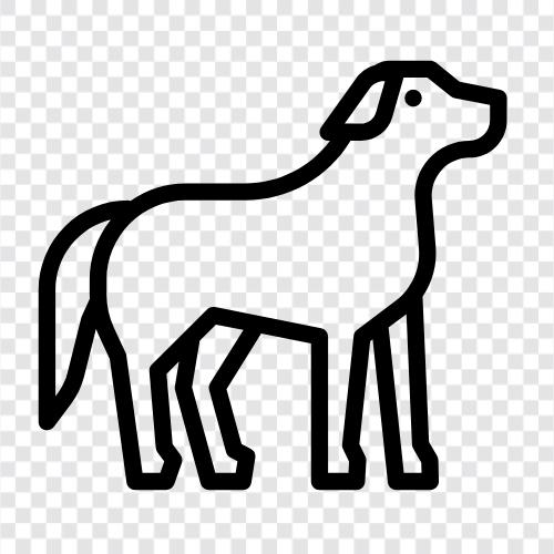 Welpen, Hunderassen, Hundefutter, Hundetraining symbol