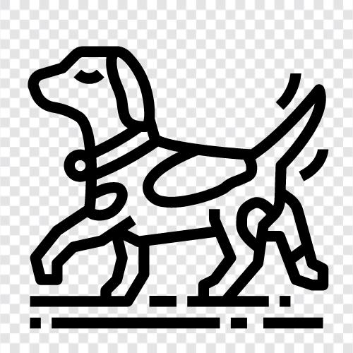 Welpen, Hunderassen, Hundefutter, Hundetraining symbol