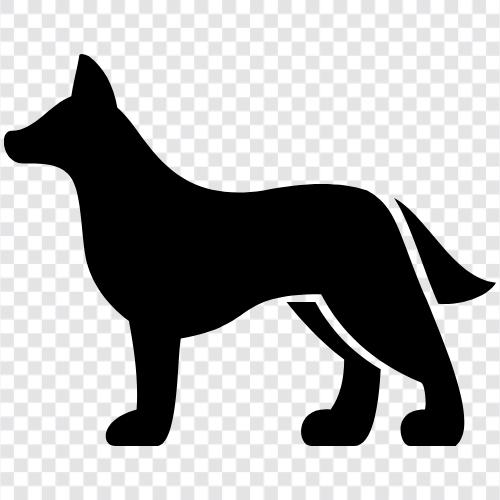 Welpen, Hunderassen, Hundefutter, Hundeheime symbol