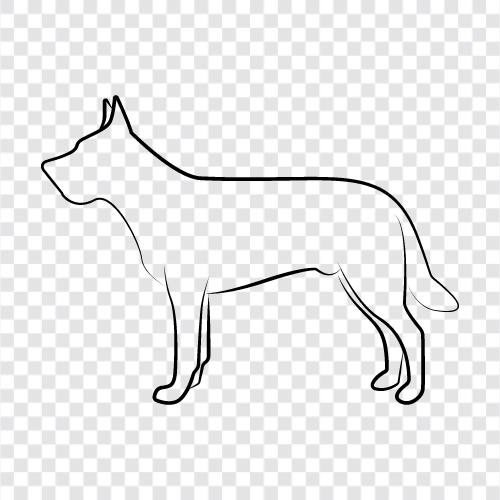 puppies, dog breeds, dog training, dog foods icon svg