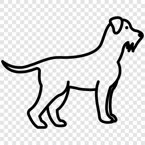 puppies, dog breeds, dog training, dog food icon svg