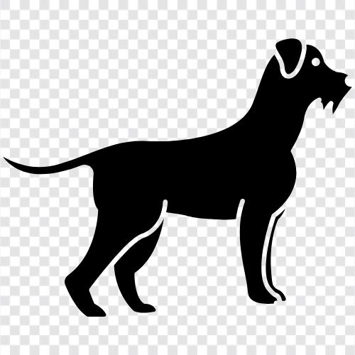 Welpen, Hunde, Hundetraining, Hundefutter symbol